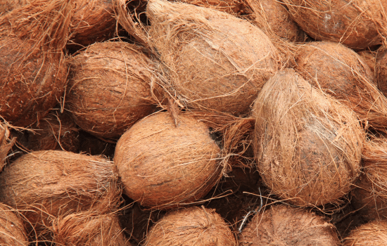 Untitled design - 2025-08-01T115027.870